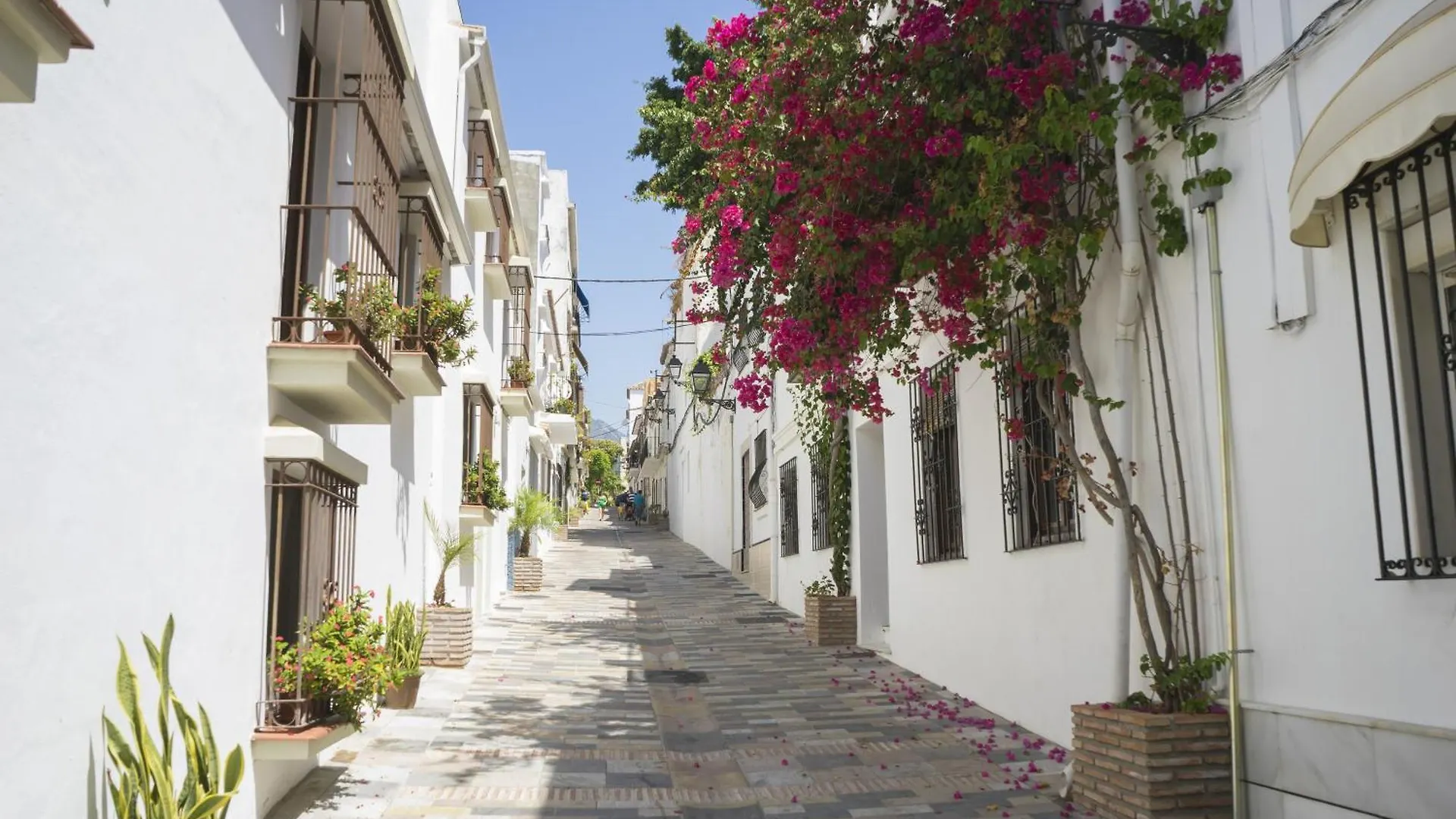 Golden Villa Luxury Pool Retreat & Beach Marbella